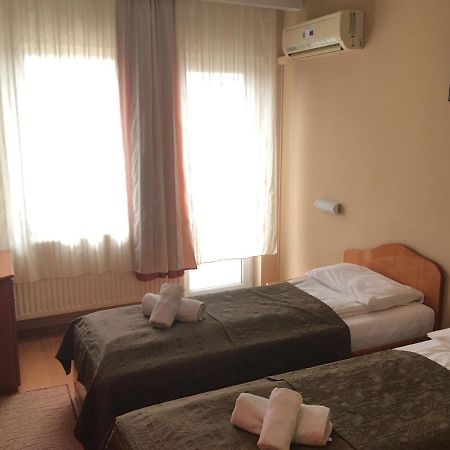 Pensiunea Brigi Satu Mare Exteriér fotografie