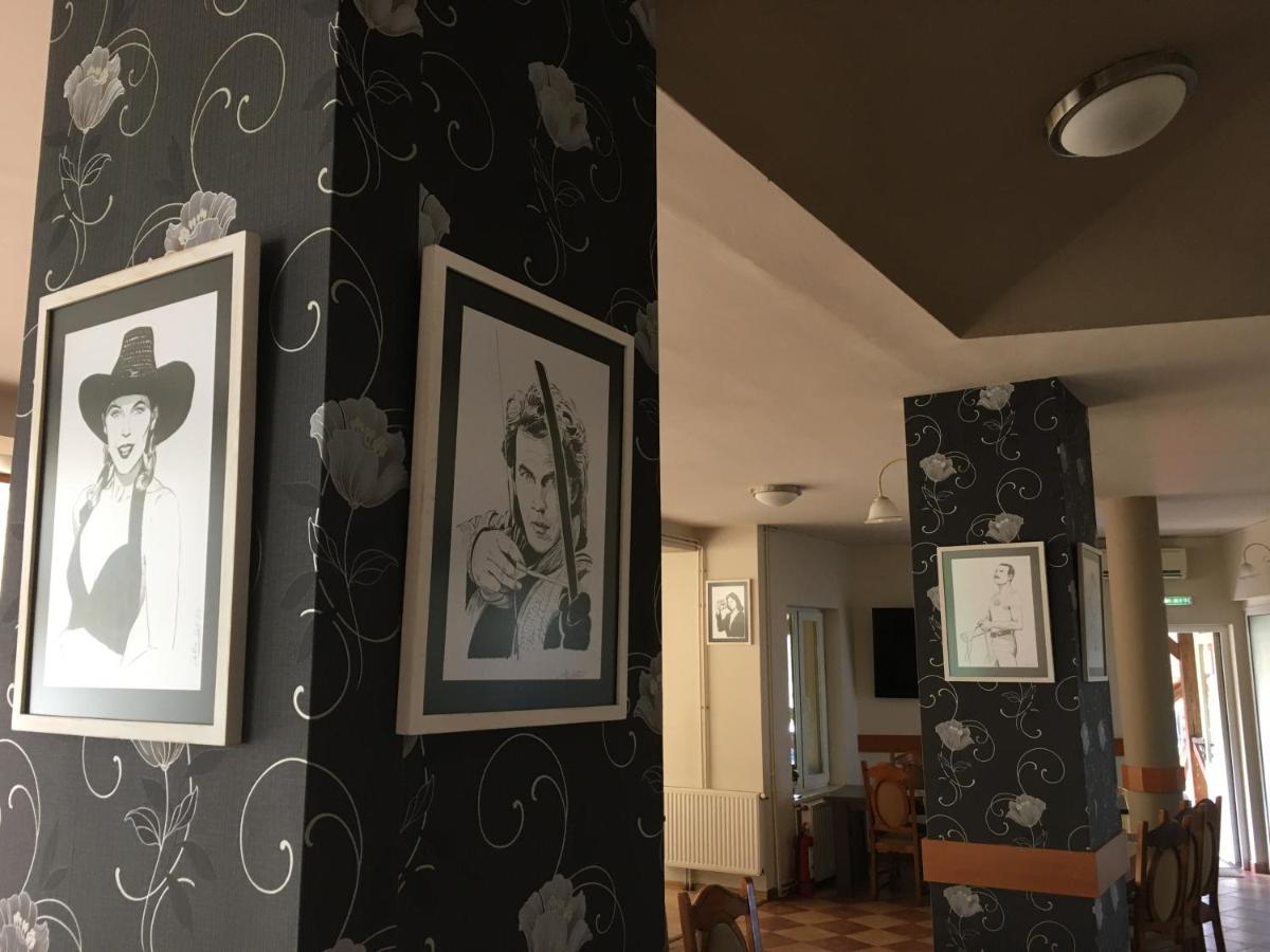 Pensiunea Brigi Satu Mare Exteriér fotografie