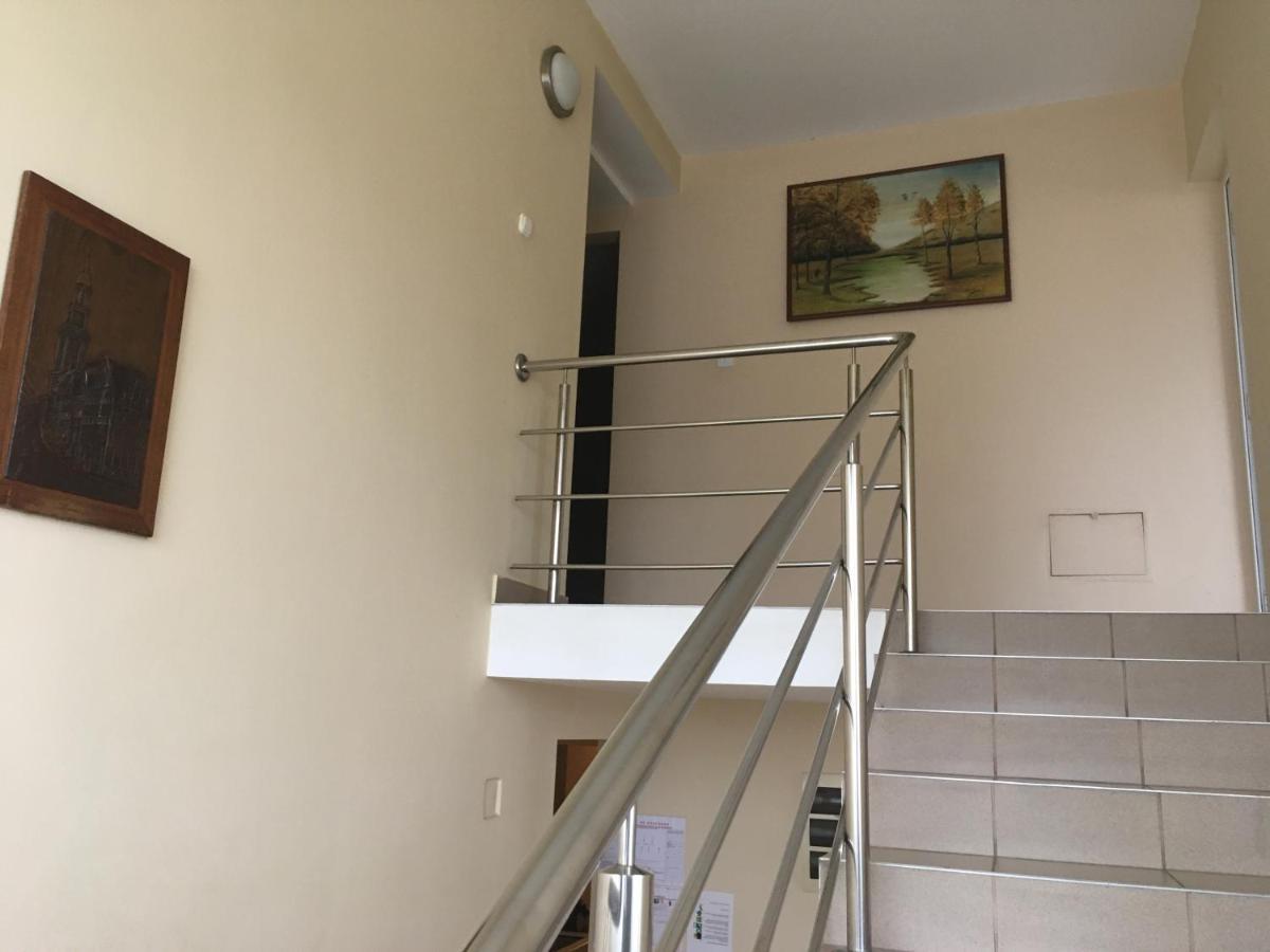 Pensiunea Brigi Satu Mare Exteriér fotografie