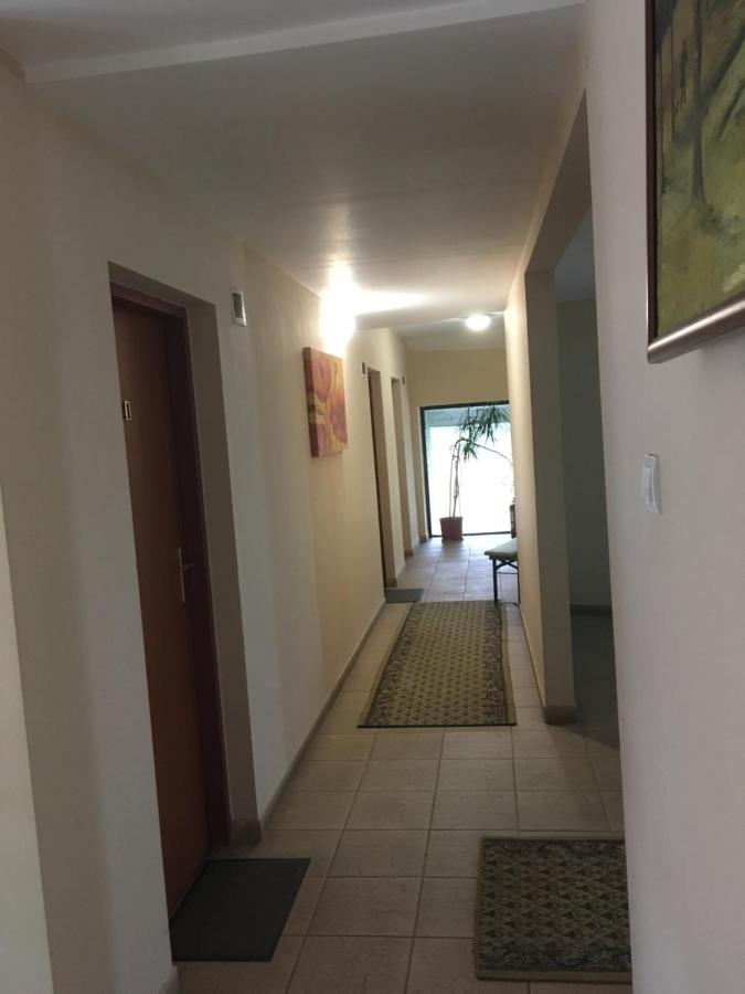 Pensiunea Brigi Satu Mare Exteriér fotografie