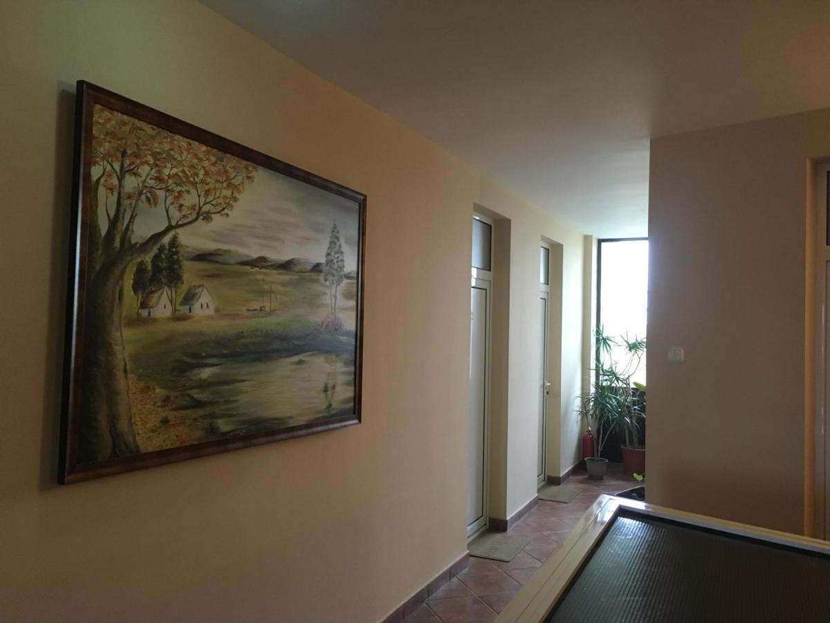 Pensiunea Brigi Satu Mare Exteriér fotografie