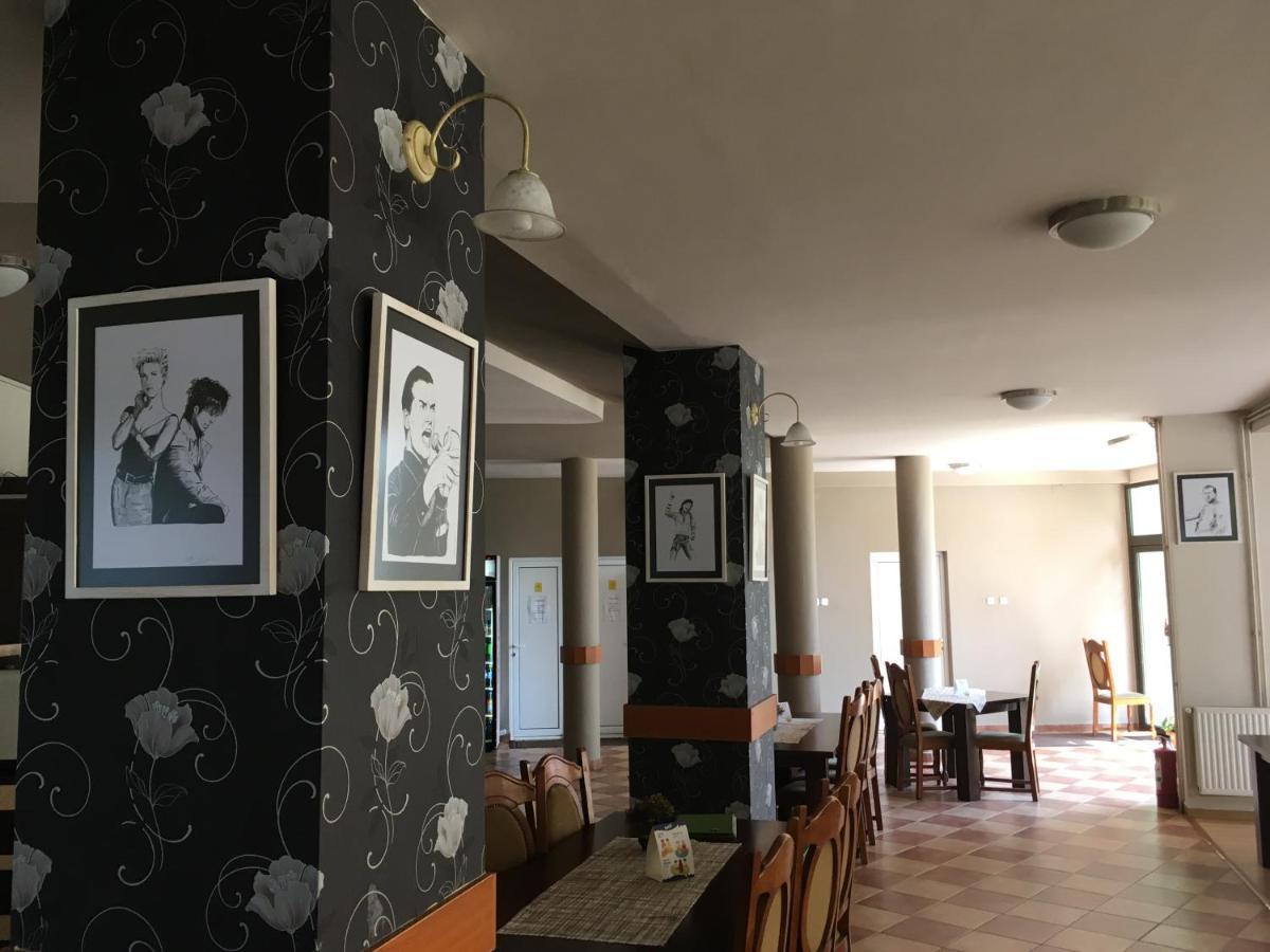 Pensiunea Brigi Satu Mare Exteriér fotografie