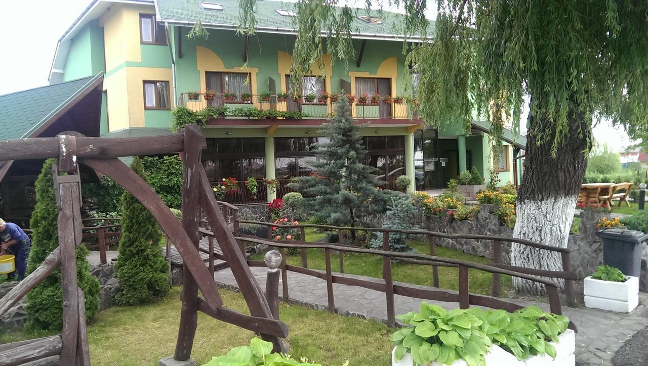 Pensiunea Brigi Satu Mare Exteriér fotografie